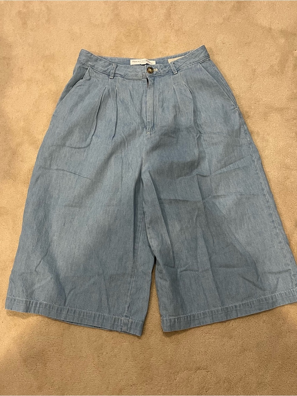 Pilcro and the Letterpress Light Blue Pleated Wide-Leg Bermudas